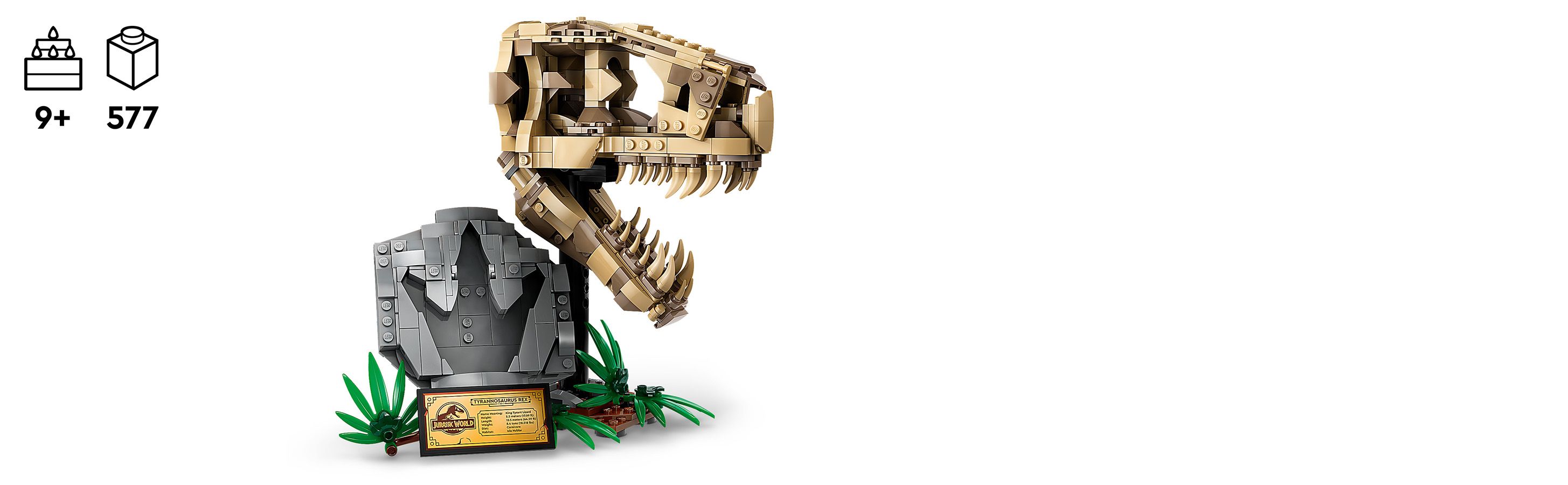 Sestavitelná dinosauří fosílie pro starší děti